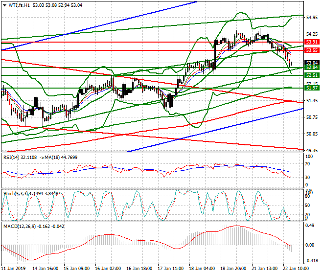 WTI Crude Oil Evening Analysis 22 Jan 2019