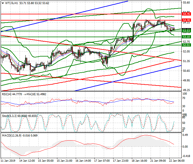 WTI Crude Oil Mid-day Analysis 22 Jan 2019