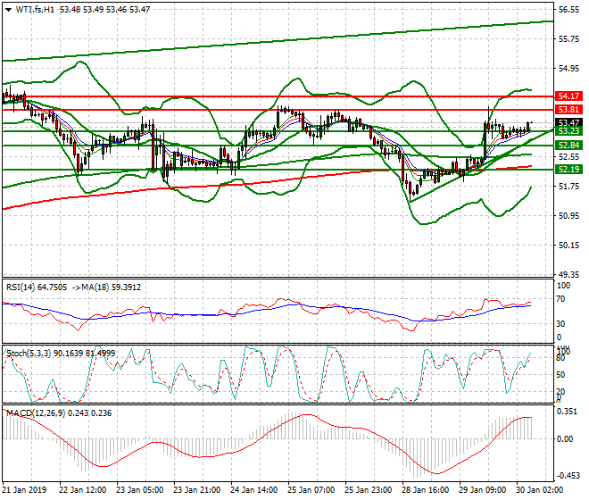 WTI Crude Oil Intra-day Analysis 30 Jan 2019