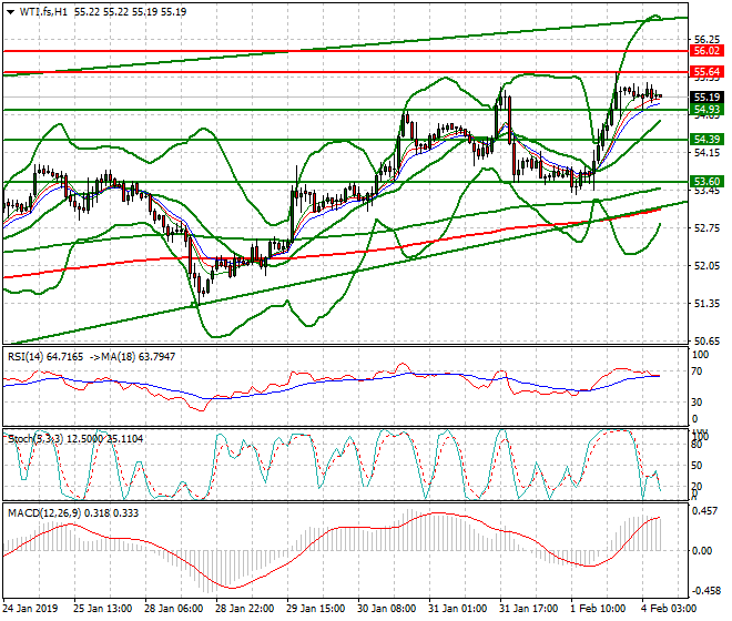 WTI Crude Oil Intra-day Analysis 04 Feb 2019
