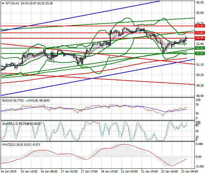 WTI Crude Oil Evening Analysis 23 Jan 2019