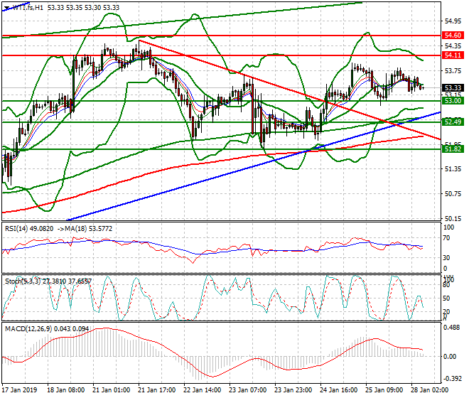 WTI Crude Oil Intra-day Analysis 28 Jan 2019